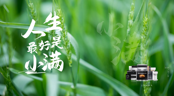 十大品牌科恩集成灶：廚房亦需“小滿”！