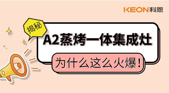 揭秘！蒸烤一體集成灶為什么這么火爆！